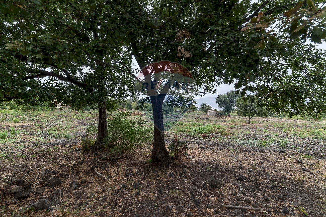 Giardino - Agricultural land Via Bellinghieri Montelaguardia
 
SN, Randazzo - photo 2