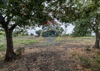 Giardino - Agricultural land Via Bellinghieri Montelaguardia
SN, Randazzo - photo 1