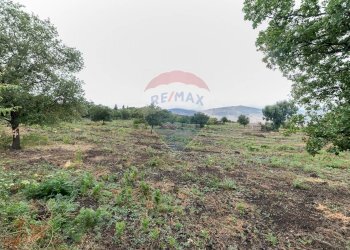 Vista delle montagne - Agricultural land Via Bellinghieri Montelaguardia
SN, Randazzo - photo 7
