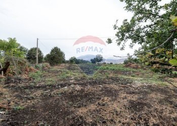 Giardino - Agricultural land Via Bellinghieri Montelaguardia
SN, Randazzo - photo 10