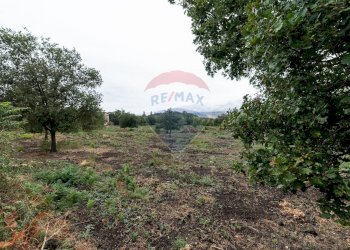 Giardino - Agricultural land Via Bellinghieri Montelaguardia
SN, Randazzo - photo 11