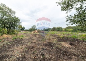 Giardino - Agricultural land Via Bellinghieri Montelaguardia
SN, Randazzo - photo 13
