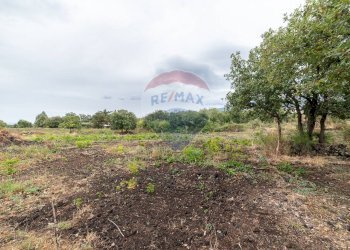 Giardino - Agricultural land Via Bellinghieri Montelaguardia
SN, Randazzo - photo 14