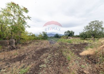 Giardino - Agricultural land Via Bellinghieri Montelaguardia
SN, Randazzo - photo 16