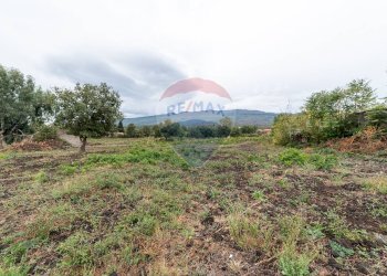 Vista delle montagne - Agricultural land Via Bellinghieri Montelaguardia
SN, Randazzo - photo 27