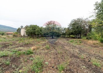 Giardino - Agricultural land Via Bellinghieri Montelaguardia
SN, Randazzo - photo 29