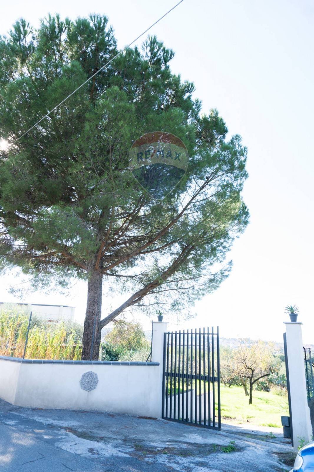 Non correlato - Agricultural land via San Domenico
 
23, Camporotondo Etneo - photo 3