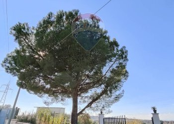 Non correlato - Agricultural land via San Domenico
23, Camporotondo Etneo - photo 2