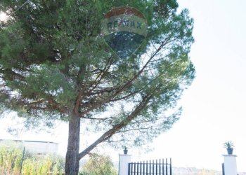 Non correlato - Agricultural land via San Domenico
23, Camporotondo Etneo - photo 3