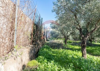 Giardino - Agricultural land via San Domenico
23, Camporotondo Etneo - photo 12