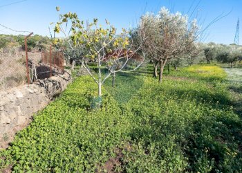 Giardino - Agricultural land via San Domenico
23, Camporotondo Etneo - photo 13