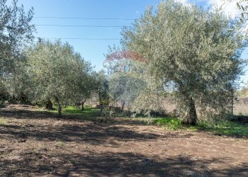 Giardino - Agricultural land via San Domenico
23, Camporotondo Etneo - photo 17
