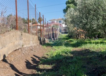 Giardino - Agricultural land via San Domenico
23, Camporotondo Etneo - photo 20