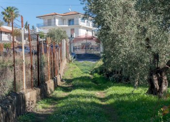 Giardino - Agricultural land via San Domenico
23, Camporotondo Etneo - photo 21