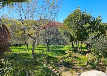 Giardino - Villa Contrada Caldaia SS417
 
snc, Caltagirone - foto 24