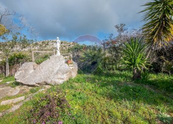 Giardino - Villa Contrada Caldaia SS417
 
snc, Caltagirone - foto 26