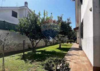 Giardino - Casa semi indipendente Viale Piave
 
70A, Ardea - foto 31