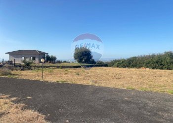 Giardino - Villa via umberto
snc, San Pietro Clarenza - photo 8