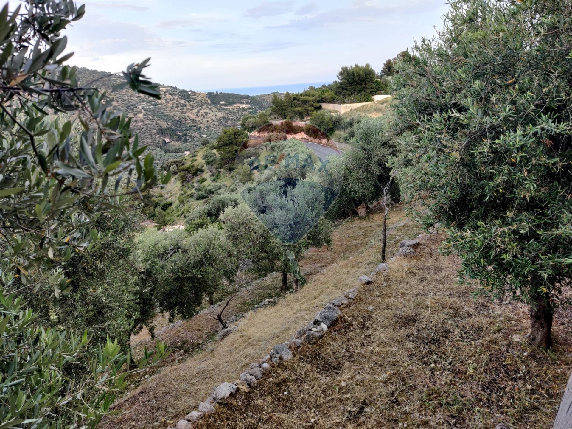 Vista delle montagne - Rustic Contrada Principe - P399+VVV, Mattinata - photo 1