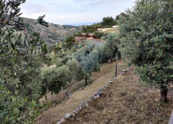 Vista delle montagne - Rustico Contrada Principe - P399+VVV, Mattinata - foto 1