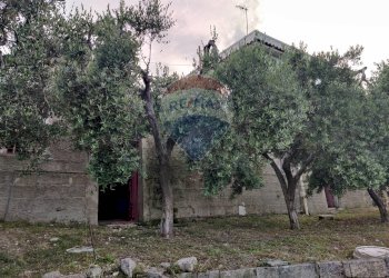 Giardino - Rustico Contrada Principe - P399+VVV, Mattinata - foto 5