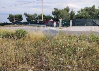 Giardino - Rustico Contrada Principe - P399+VVV, Mattinata - foto 16