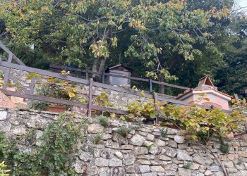 Foto 7 - Quadrilocale Marciana - foto 7