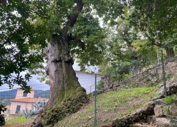 Foto 10 - Quadrilocale Marciana - foto 10