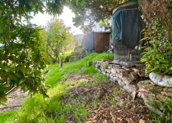 Foto 24 - Quadrilocale Marciana - foto 24