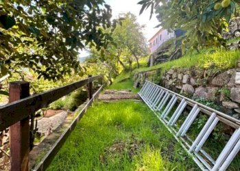 Foto 25 - Quadrilocale Marciana - foto 25