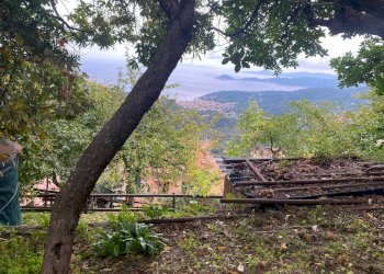 Foto 28 - Quadrilocale Marciana - foto 28