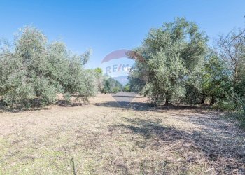 Giardino - Villa CONTRADA DESERTO
 
227, Comiso - foto 13