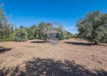 Giardino - Villa CONTRADA DESERTO
 
227, Comiso - foto 17