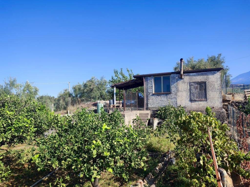 Foto 1 - Terreno agricolo Paterno - foto 1