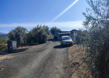 Foto 3 - Terreno agricolo Paterno - foto 3