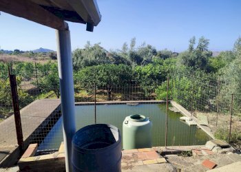 Foto 5 - Terreno agricolo Paterno - foto 5