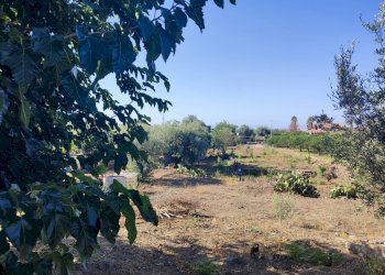 Foto 10 - Terreno agricolo Paterno - foto 10