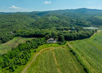 Foto 8 - Rustico Rapolano Terme - foto 8