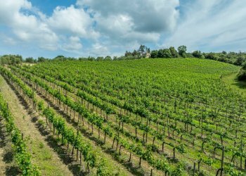 Foto 23 - Rustico Rapolano Terme - foto 23