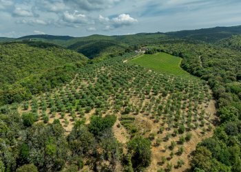 Foto 24 - Rustico Rapolano Terme - foto 24