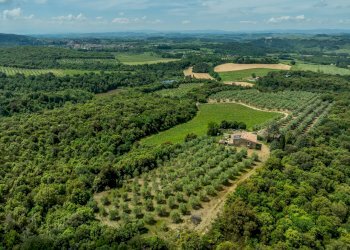 Foto 25 - Rustico Rapolano Terme - foto 25