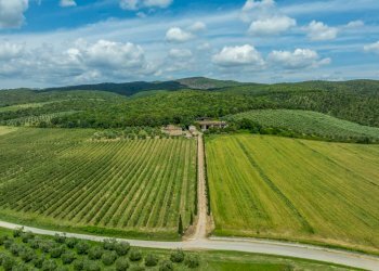 Foto 26 - Rustico Rapolano Terme - foto 26