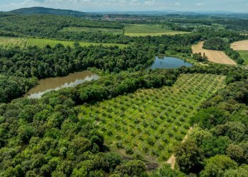 Foto 27 - Rustico Rapolano Terme - foto 27