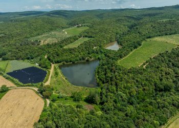 Foto 28 - Rustico Rapolano Terme - foto 28