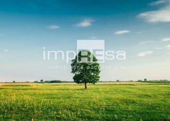 Foto 4 - Terreno edificabile San Polo di Piave - foto 4