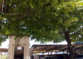 Foto 7 - Villa Via dei Fossi, San Miniato - foto 7