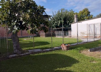 Foto 6 - Casa indipendente Via XXV aprile, Castelfranco di Sotto - foto 6