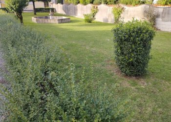 Foto 7 - Casa indipendente Via XXV aprile, Castelfranco di Sotto - foto 7