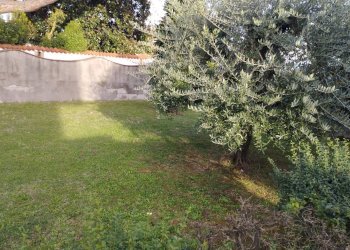 Foto 9 - Casa indipendente Via XXV aprile, Castelfranco di Sotto - foto 9