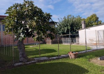 Foto 11 - Casa indipendente Via XXV aprile, Castelfranco di Sotto - foto 11